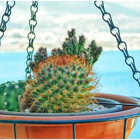 Littlevenice Appartme 50m From Sea *