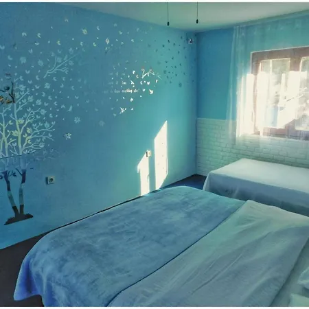 Littlevenice Appartme 50m From Sea דירה טרוגיר