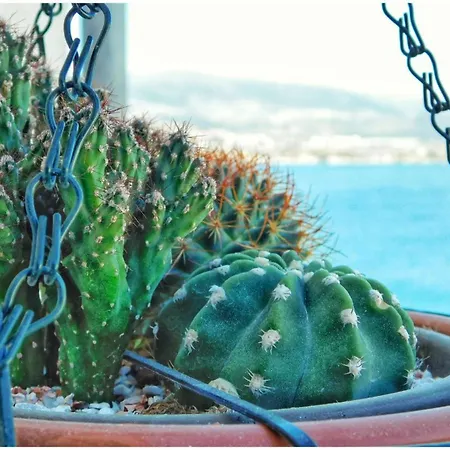 Littlevenice Appartme 50m From Sea * Trogir