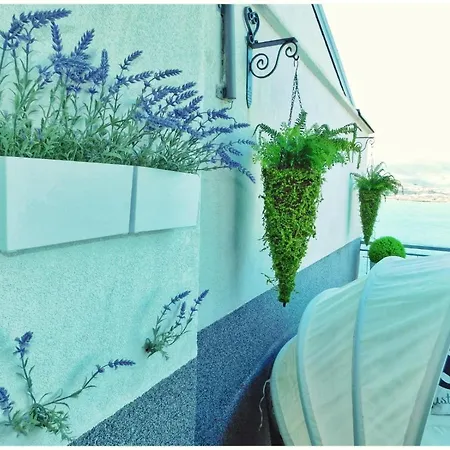Apartmán Littlevenice Appartme 50m From Sea *