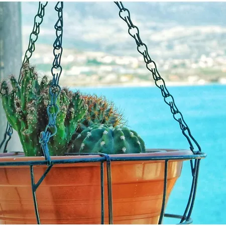 Littlevenice Appartme 50m From Sea * Trogir