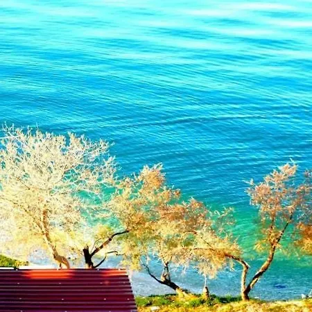 Littlevenice Appartme 50m From Sea Lägenhet