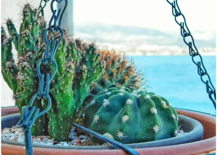Littlevenice Appartme 50m From Sea * Trogir