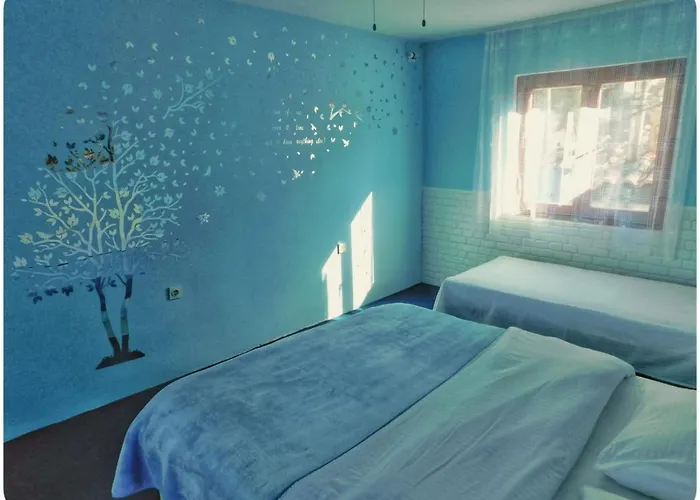 Littlevenice Appartme 50m From Sea Appartement Trogir